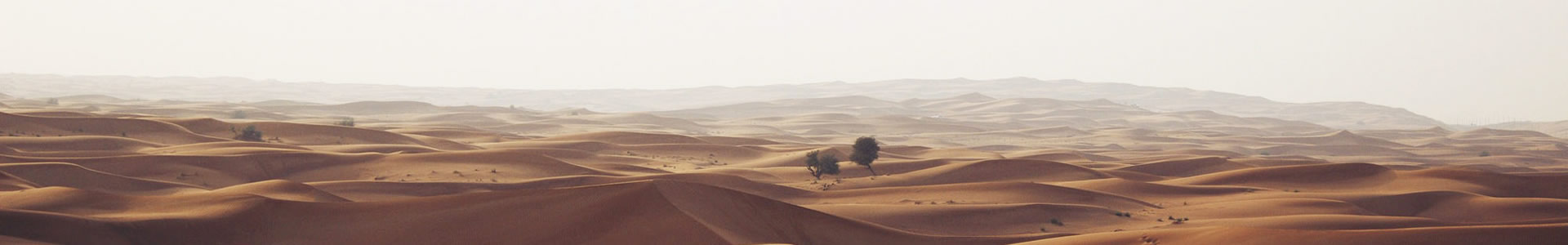 ĳл޹˾